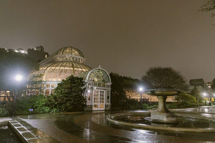 Experience the Magic Within Brooklyn 