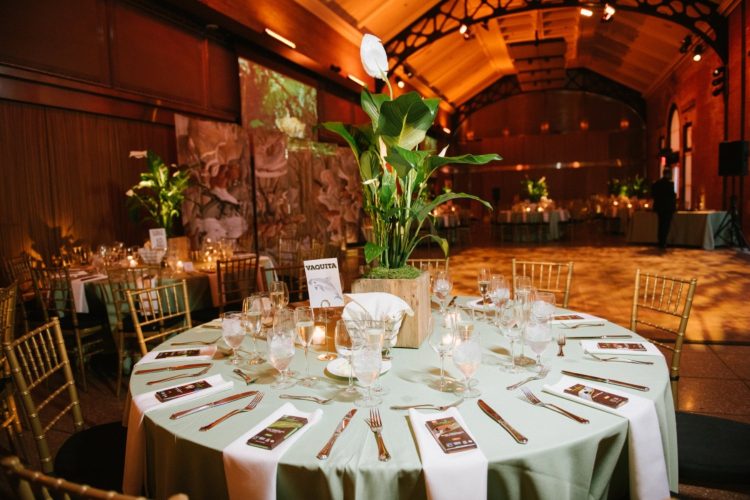 A Higher Standard: Elevating Your Wedding at Bronx Zoo