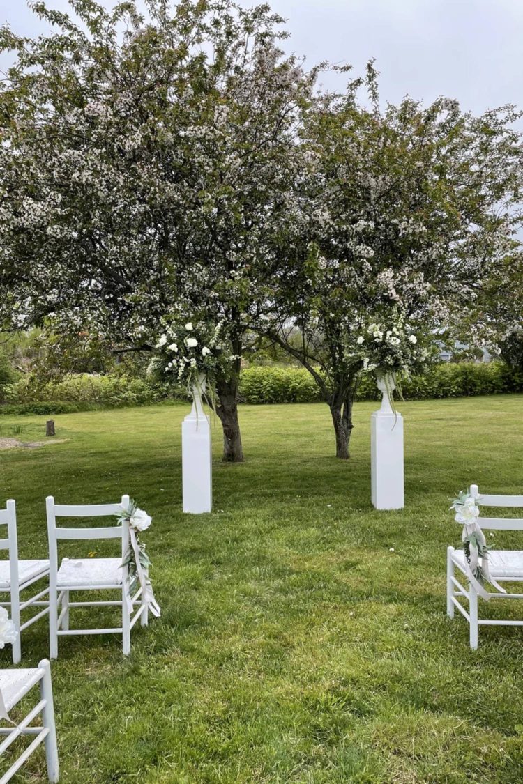 Spotlight on Romance: