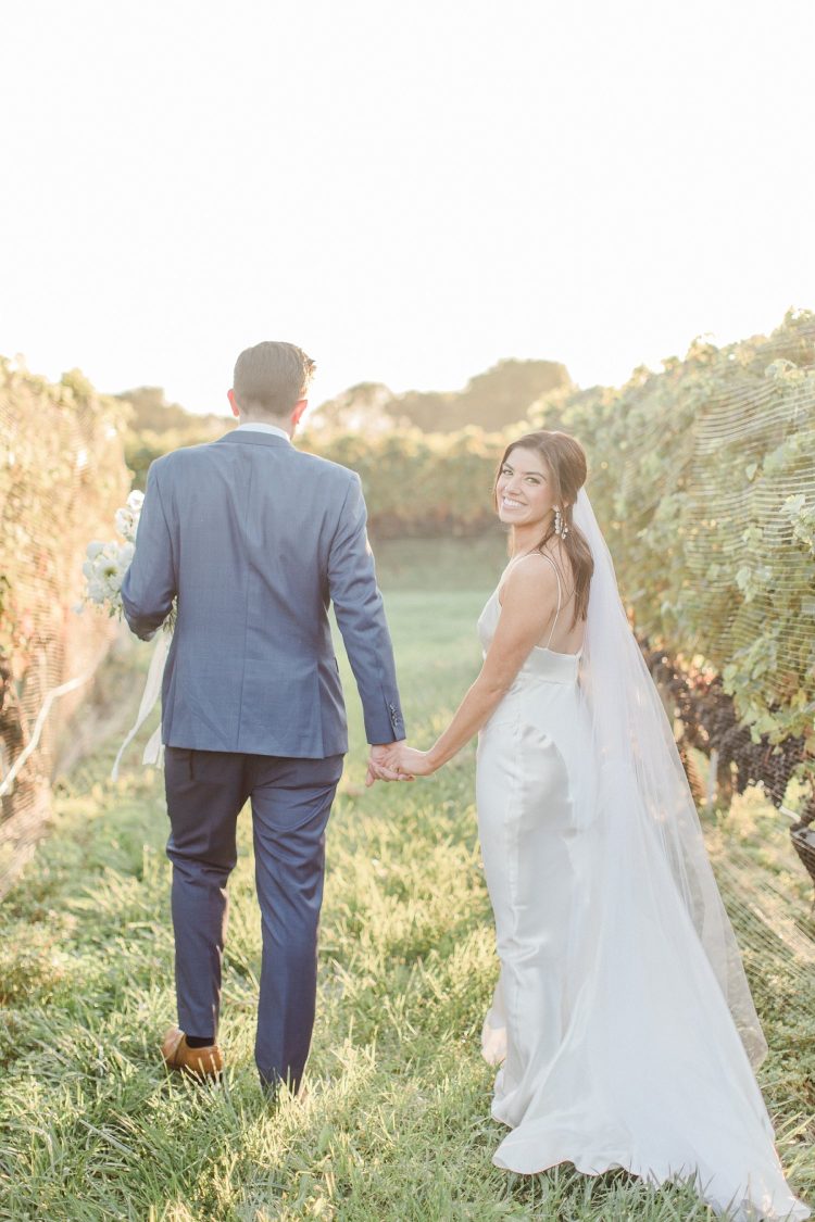 Experience Vineyard Magic: