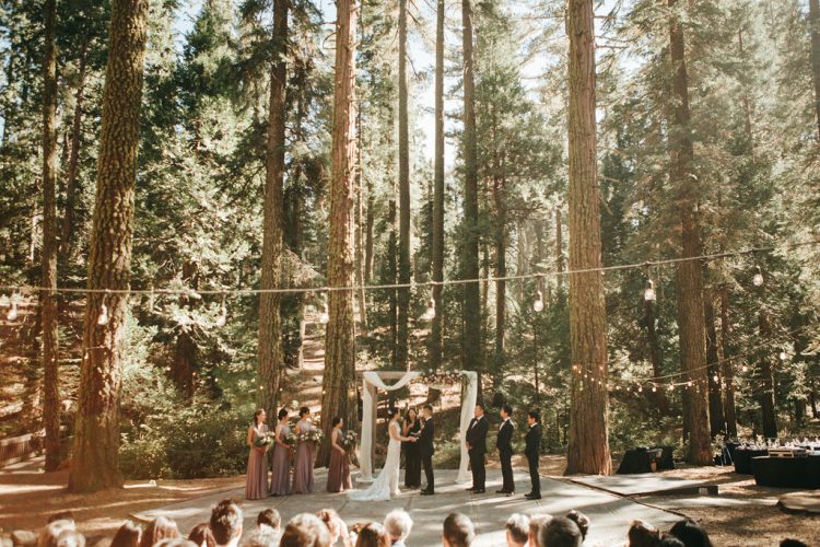 Couple exchanging vows during forest wedding ceremony among tall trees.