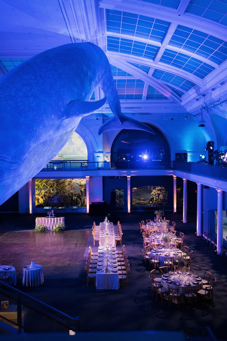 Wedding reception setup in a large aquarium hall with a whale display at American Museum of Natural History.