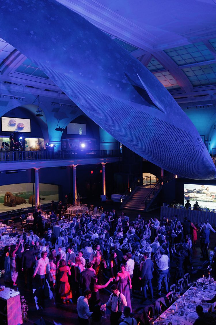Wedding reception dance floor under a large whale display at American Museum of Natural History.